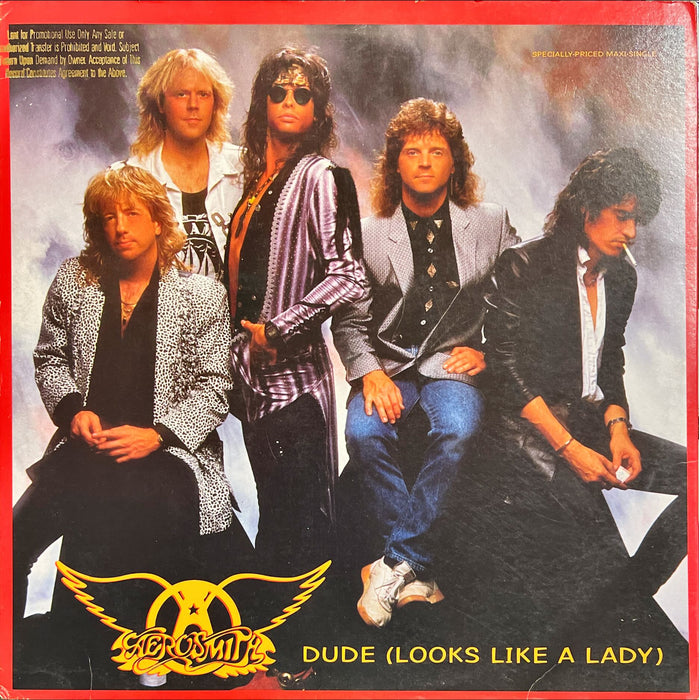 Aerosmith - Dude (Looks Like A Lady)(12" Single)