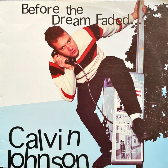 Calvin Johnson - Before The Dream Faded... (Vinyl LP)