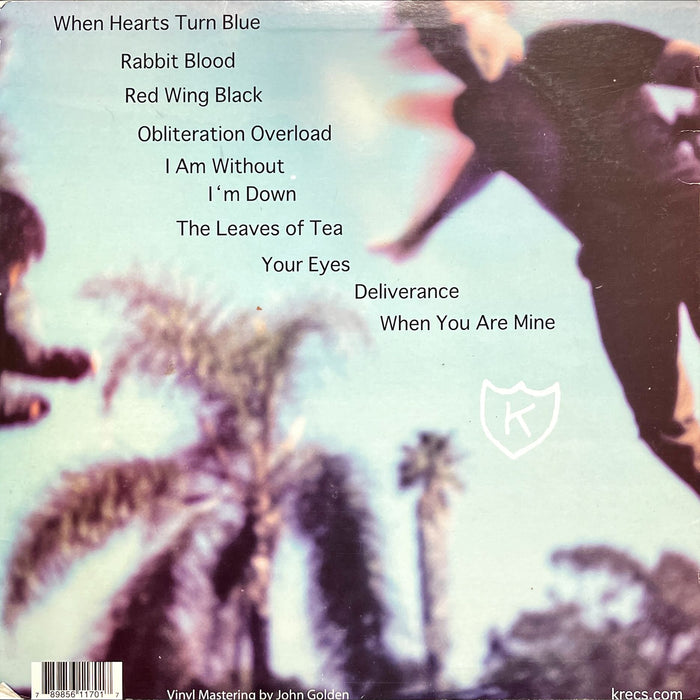 Calvin Johnson - Before The Dream Faded... (Vinyl LP)