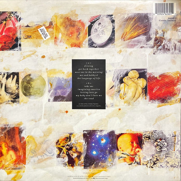 Everything But The Girl - The Language Of Life (Vinyl LP)