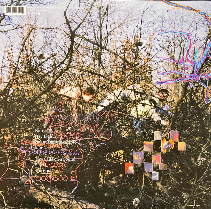 Animal Collective - Here Comes The Indian (Vinyl LP)