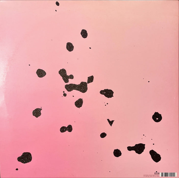 Ariel Pink - Pom Pom (Vinyl 2LP)[Gatefold]