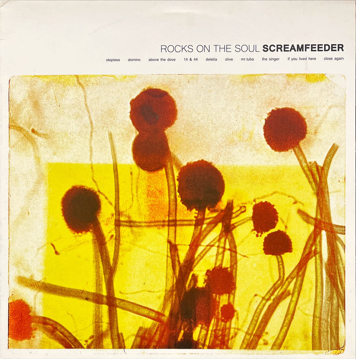 Screamfeeder ‎- Rocks On The Soul (Vinyl LP)