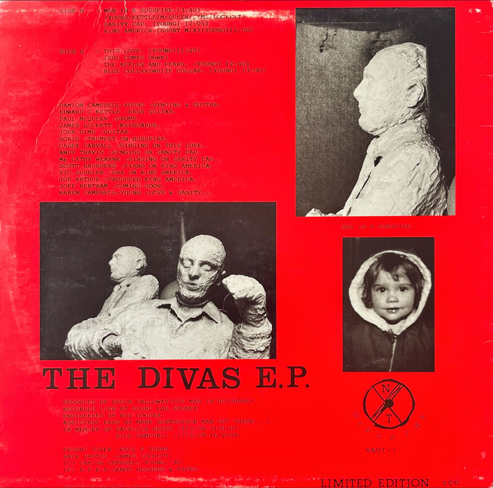The Divas - Man In A Bushfire (12" Single)