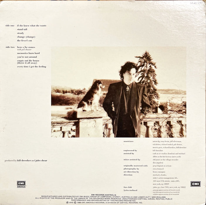 Jules Shear - The Eternal Return (Vinyl LP)