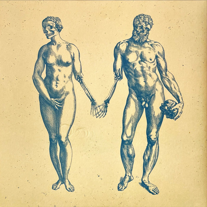 Lo! - The Tongueless (2 x 7" Vinyl)[Gatefold]