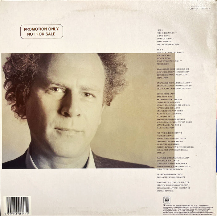 Art Garfunkel - Lefty (Vinyl LP)