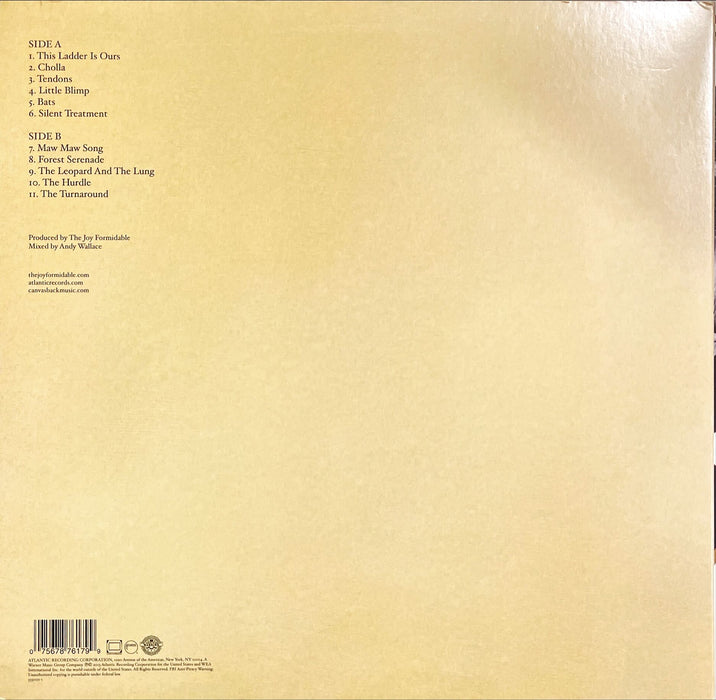 The Joy Formidable - Wolf's Law (Vinyl LP)