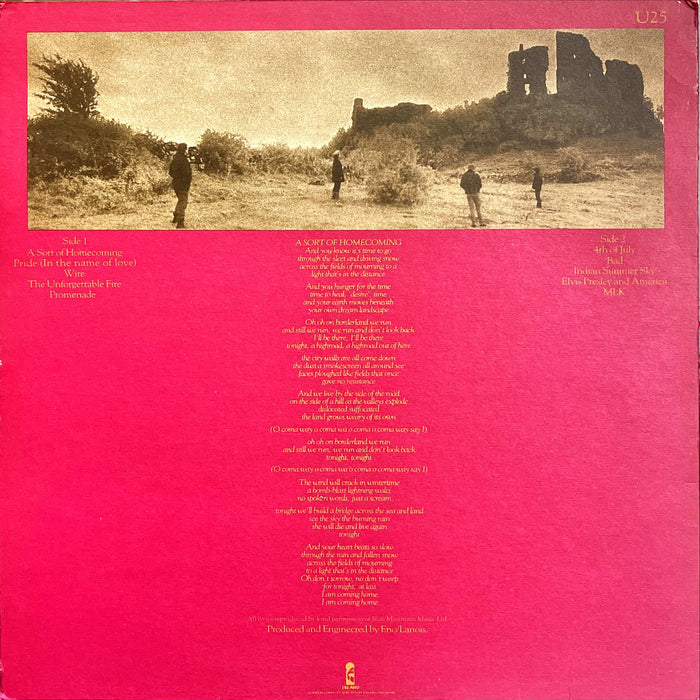 U2 - The Unforgettable Fire (Vinyl LP)
