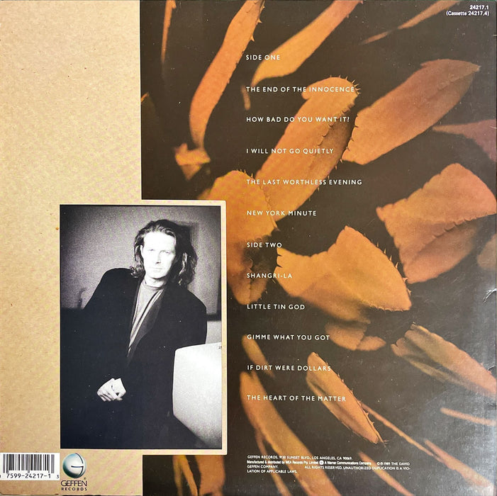 Don Henley - The End Of The Innocence (Vinyl LP)