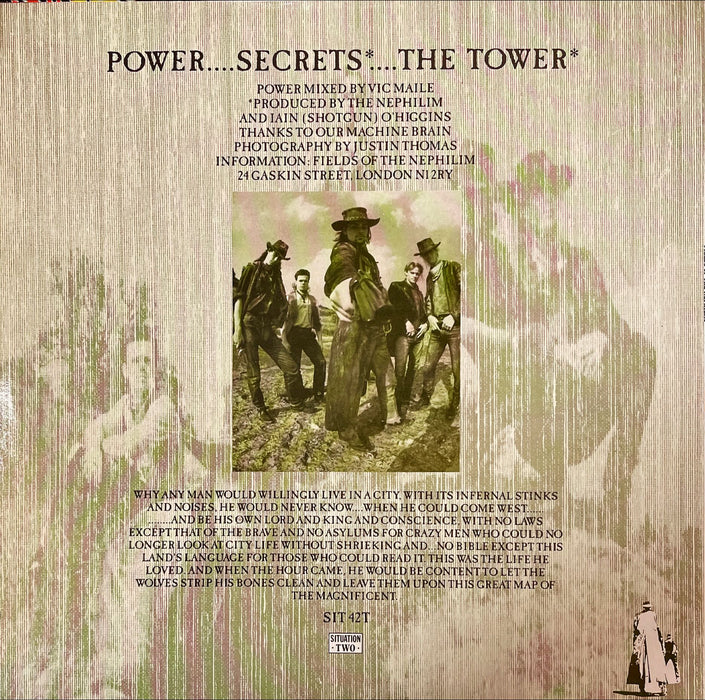 Fields Of The Nephilim - Power (12" Single)