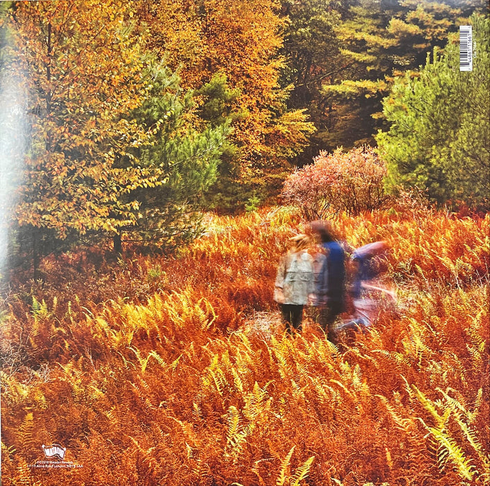 Yo La Tengo - There's A Riot Going On (Vinyl 2LP)