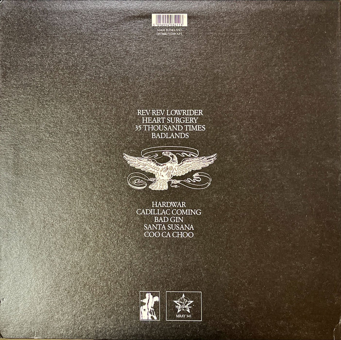 James Rays Gangwar - Dios Está De Nuestro Lado (Vinyl LP)