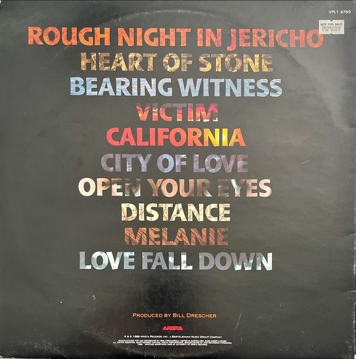 Dreams So Real -  Rough Night In Jericho (Vinyl LP)