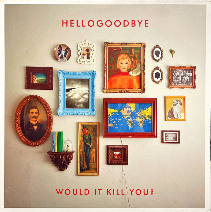 Hellogoodbye ‎- Would It Kill You? (Vinyl LP)