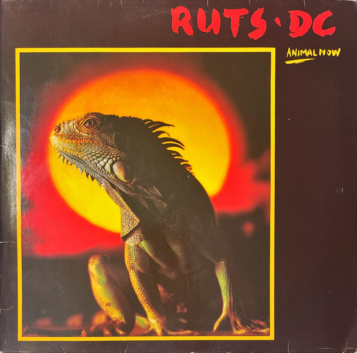 Ruts DC - Animal Now (Vinyl LP)