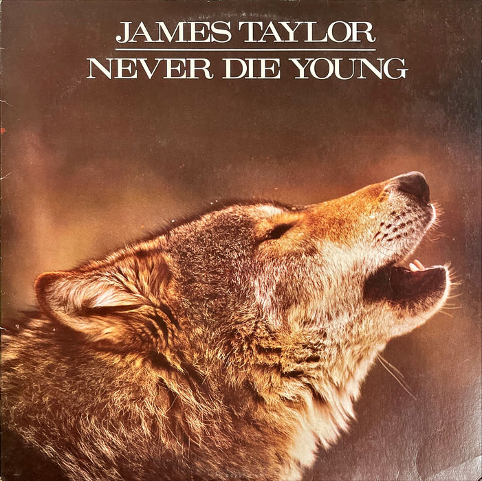 James Taylor - Never Die Young (Vinyl LP)