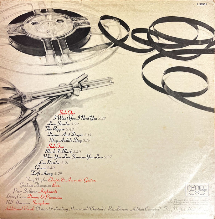 Ray Burgess Band - Final Mix (Vinyl LP)