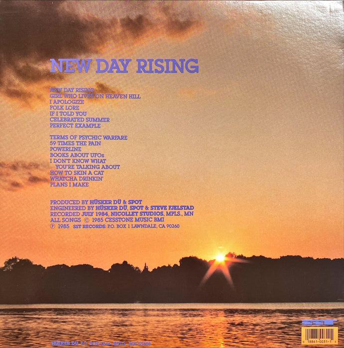 Hüsker Dü ‎- New Day Rising (Vinyl LP)