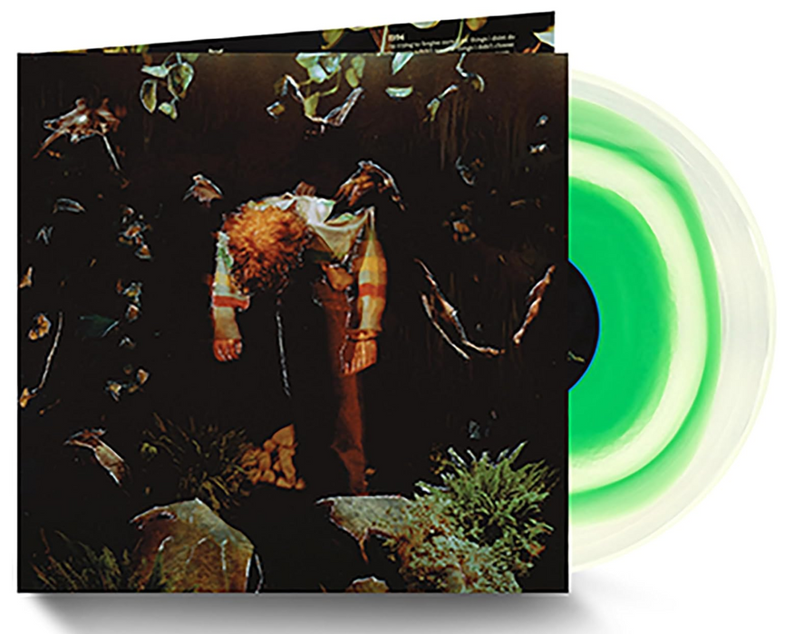 Cavetown - Worm Food (Vinyl LP)[Gatefold]