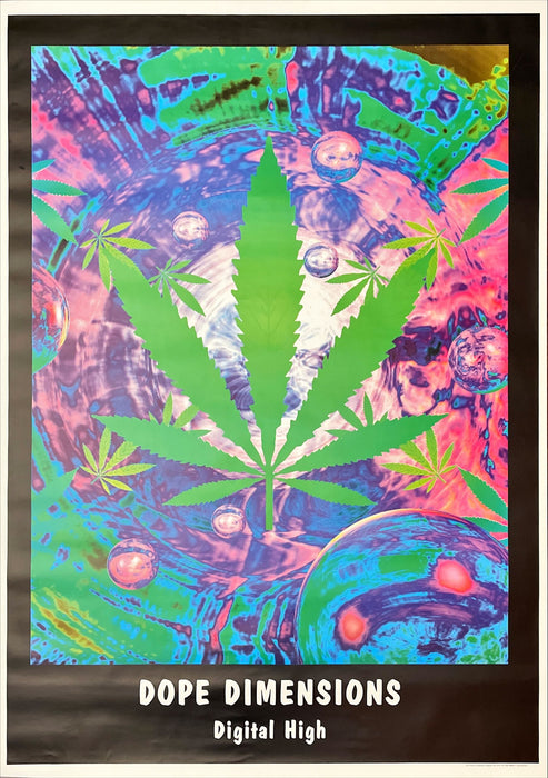 Dope Dimensions - Digital High (Vintage Poster)