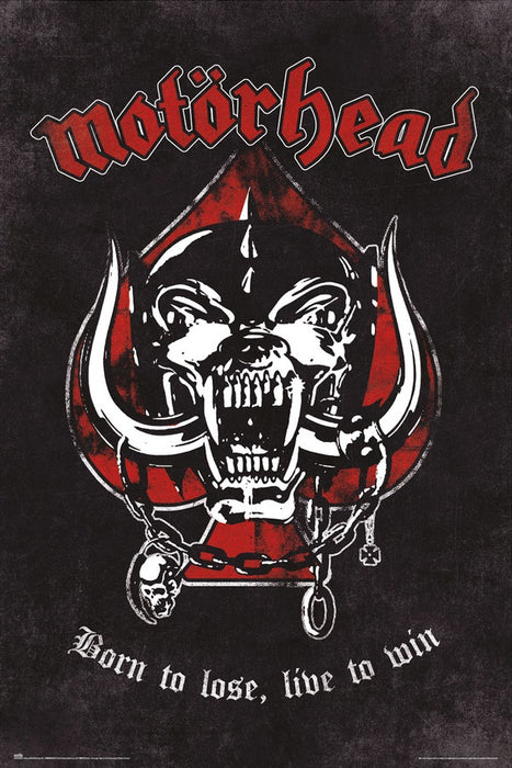 Motörhead - Born to Lose (Poster)