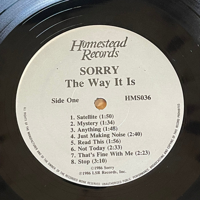 Sorry - The Way It Is (Vinyl LP)