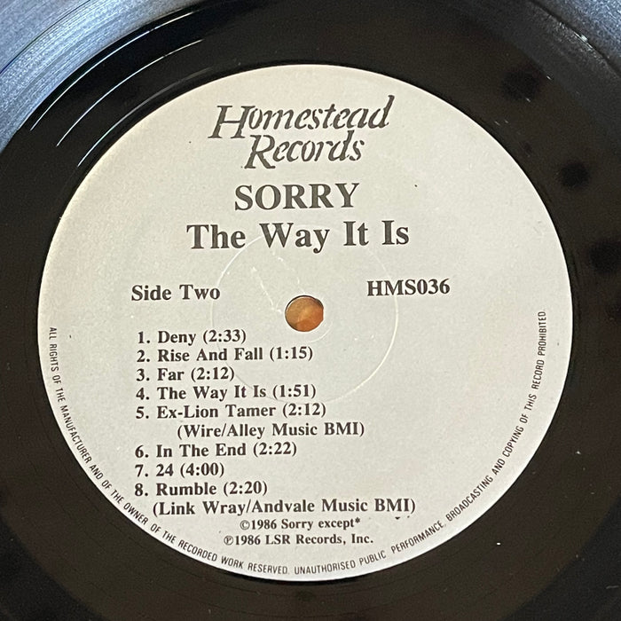 Sorry - The Way It Is (Vinyl LP)