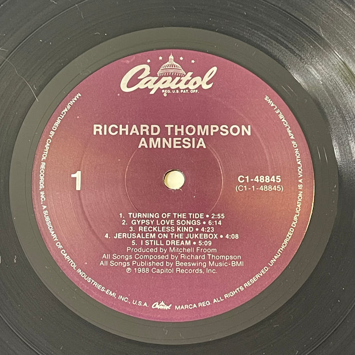 Richard Thompson - Amnesia (Vinyl LP)