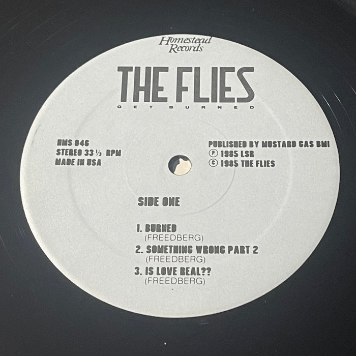The Flies - Get Burned (12" Single)