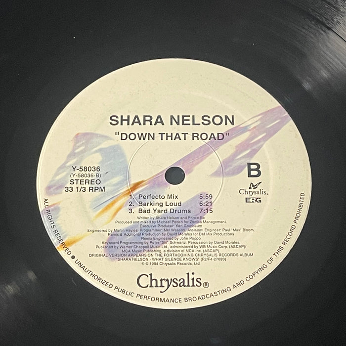 Shara Nelson - Down That Road (12" Single)