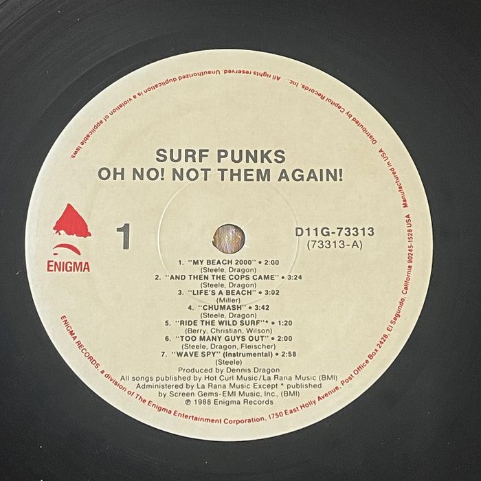 Surf Punks - Oh No! Not Them Again! (Vinyl LP)