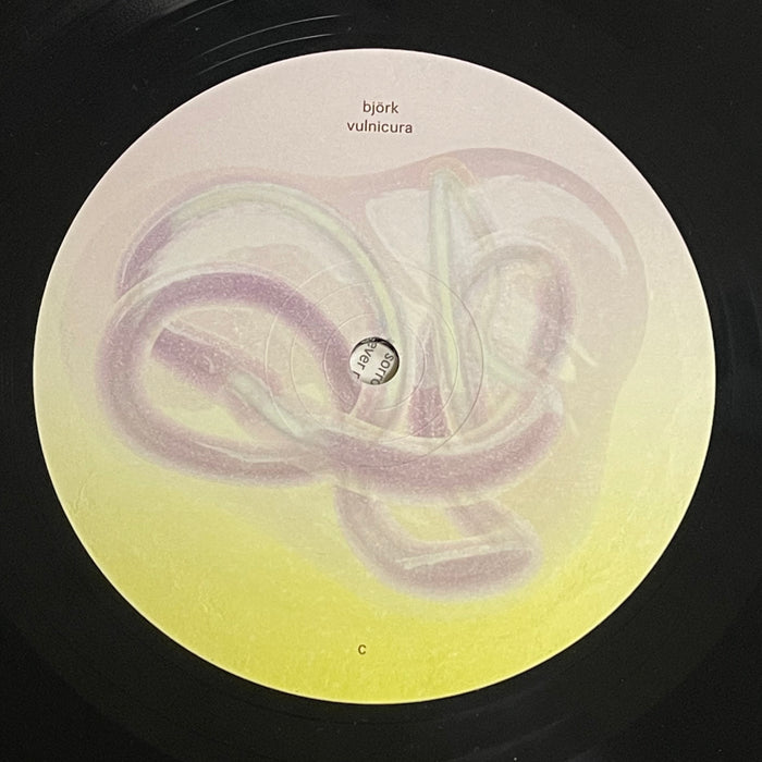 Björk - Vulnicura (Vinyl 2LP)[Gatefold]