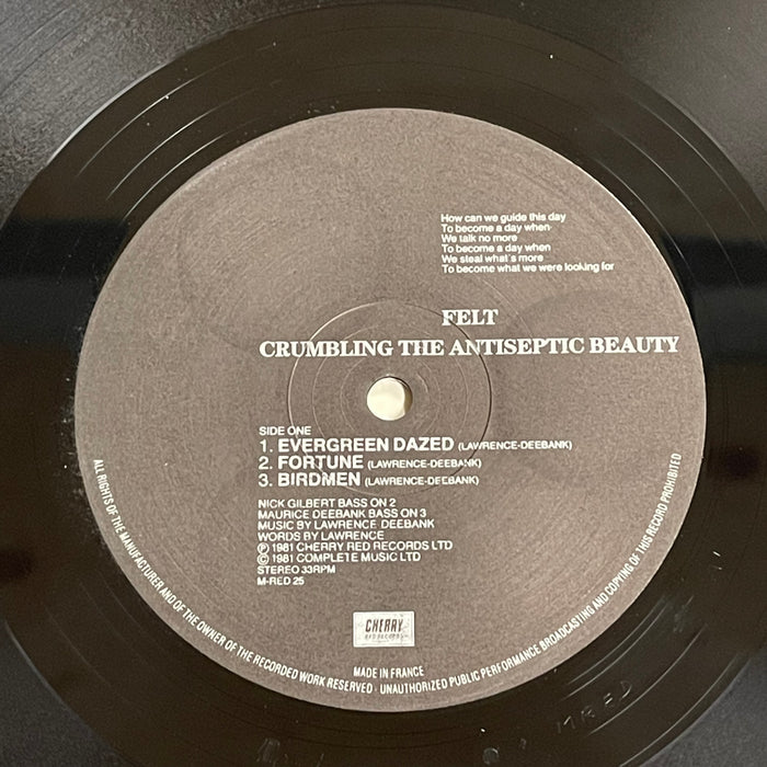 Felt Crumbling The Antiseptic Beauty (Vinyl LP) — Record Exchange