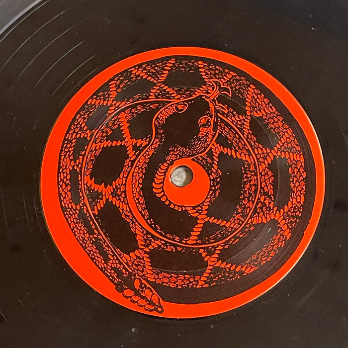 Psychotic Turnbuckles - Psychotic Turnbuckles (Vinyl LP)