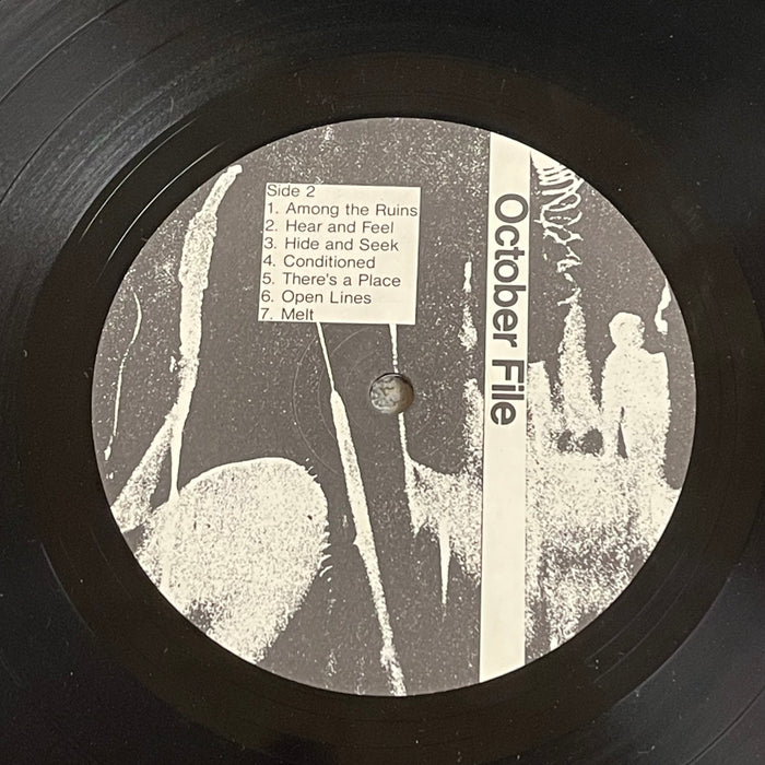 Die Kreuzen - October File (Vinyl LP)