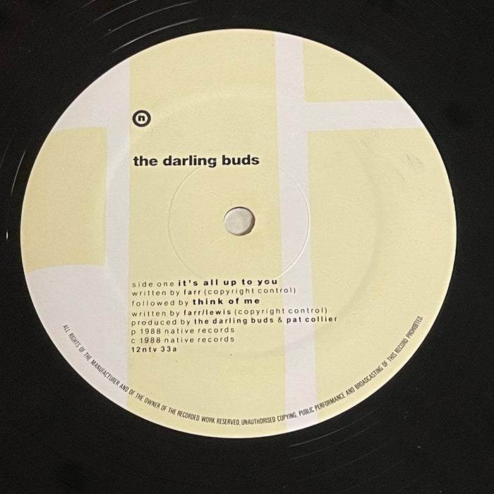 The Darling Buds - It's All Up To You (12" Single)