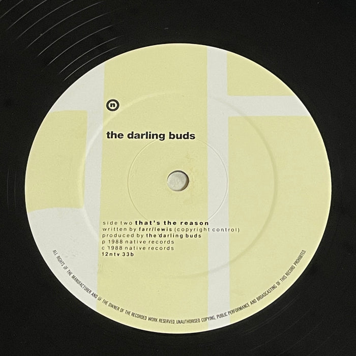 The Darling Buds - It's All Up To You (12" Single)