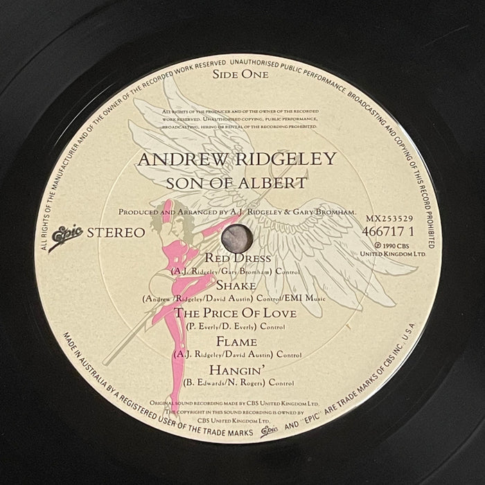 Andrew Ridgeley - Son Of Albert (Vinyl LP)