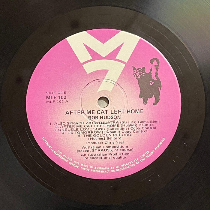 Bob Hudson - After Me Cat Left Home (Vinyl LP)[Gatefold]