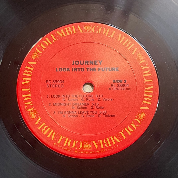 Journey - Look Into The Future (Vinyl LP)