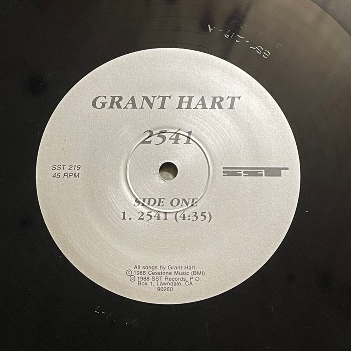 Grant Hart - 2541 (12" Single)