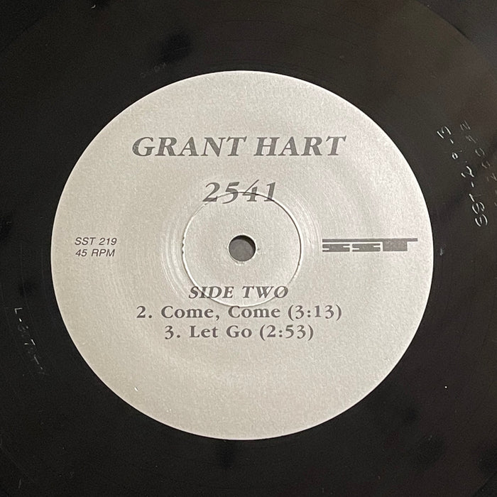 Grant Hart - 2541 (12" Single)