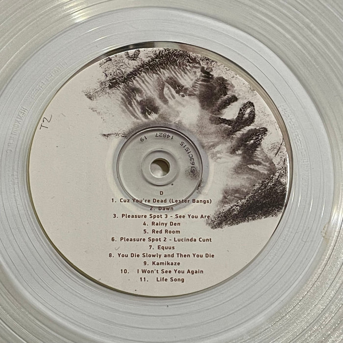 Ariel Pink - Thrash And Burn (Vinyl 2LP)[Gatefold]