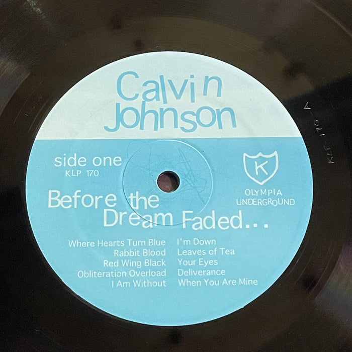 Calvin Johnson - Before The Dream Faded... (Vinyl LP)
