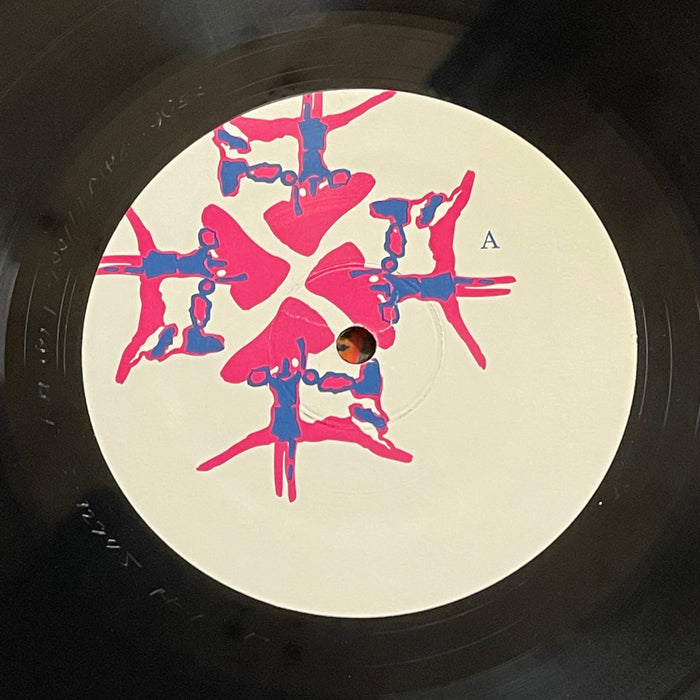 Animal Collective - Here Comes The Indian (Vinyl LP)