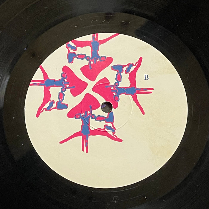 Animal Collective - Here Comes The Indian (Vinyl LP)