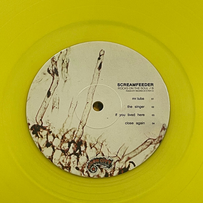 Screamfeeder ‎- Rocks On The Soul (Vinyl LP)