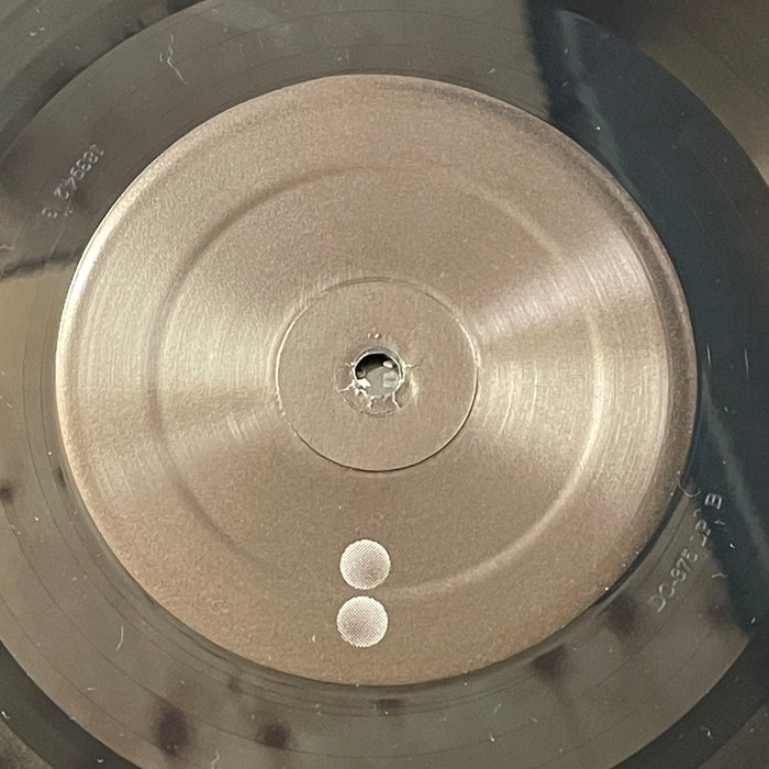 Jim O'Rourke - The Visitor (Vinyl LP)[Gatefold]