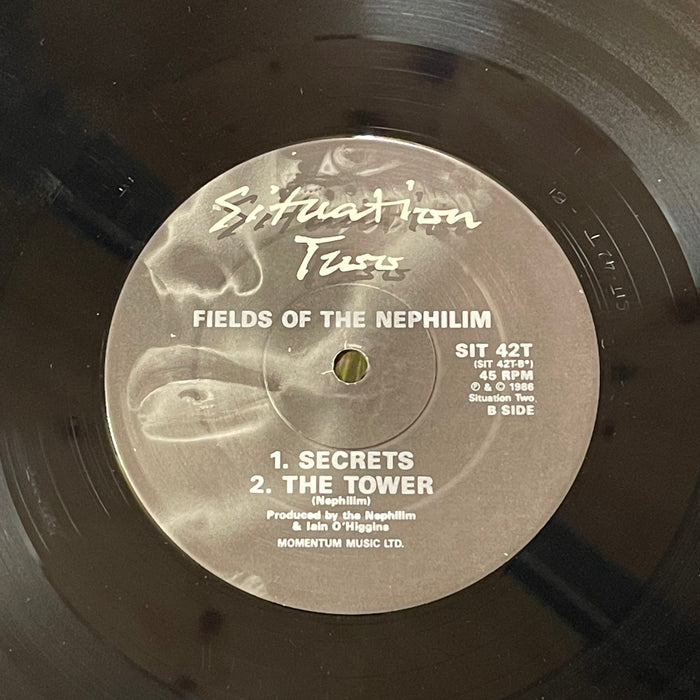 Fields Of The Nephilim - Power (12" Single)